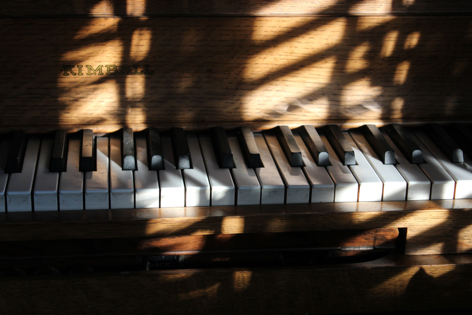 Sunlight and leaf shadows falling across the keys of a wooden piano