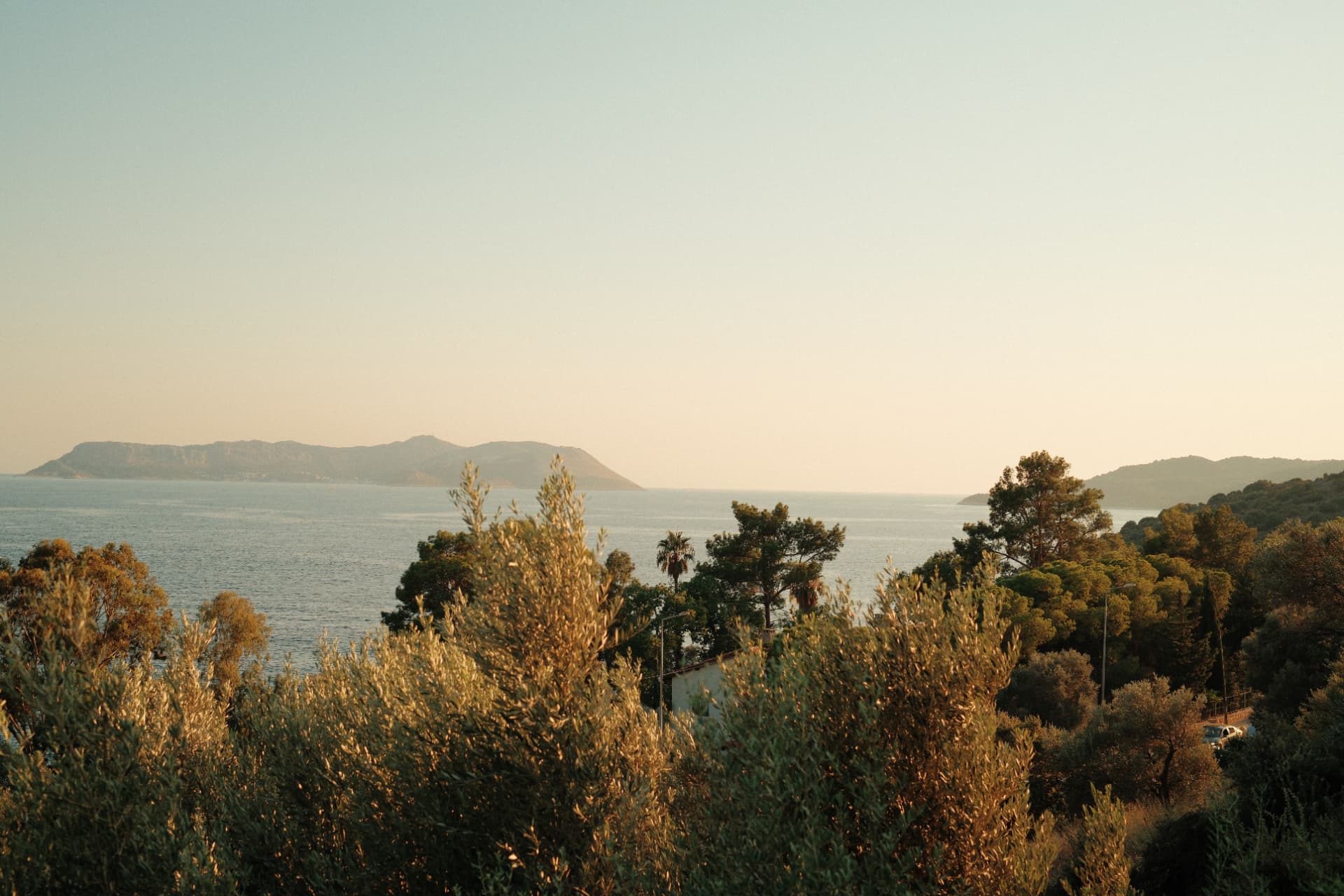 A peaceful coastal view framed by trees in warm evening light
